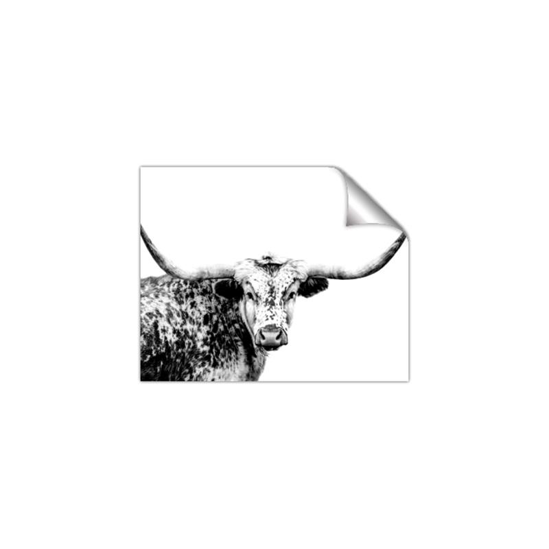 Picture of Jackson, The Bull  _GroupedProduct_Rectangle_Landscape_Photography _GroupedProduct_Rectangle_Landscape_Unframed_Print_Only_