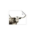 Picture of Jackson, The Bull  _GroupedProduct_Rectangle_Landscape_Photography _GroupedProduct_Rectangle_Landscape_Unframed_Print_Only_