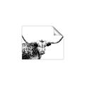 Picture of Jackson, The Bull  _GroupedProduct_Rectangle_Landscape_Photography _GroupedProduct_Rectangle_Landscape_Unframed_Print_Only_