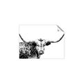 Picture of Jackson, The Bull  _GroupedProduct_Rectangle_Landscape_Photography _GroupedProduct_Rectangle_Landscape_Unframed_Print_Only_