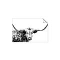 Picture of Jackson, The Bull  _GroupedProduct_Rectangle_Landscape_Photography _GroupedProduct_Rectangle_Landscape_Unframed_Print_Only_