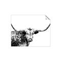 Picture of Jackson, The Bull  _GroupedProduct_Rectangle_Landscape_Photography _GroupedProduct_Rectangle_Landscape_Unframed_Print_Only_