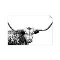 Picture of Jackson, The Bull  _GroupedProduct_Rectangle_Landscape_Photography _GroupedProduct_Rectangle_Landscape_Unframed_Print_Only_