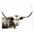 Picture of Jackson, The Bull  _GroupedProduct_Rectangle_Landscape_Photography _GroupedProduct_Rectangle_Landscape_Unframed_Print_Only_