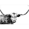 Picture of Jackson, The Bull  _GroupedProduct_Rectangle_Landscape_Photography _GroupedProduct_Rectangle_Landscape_Unframed_Print_Only_