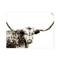 Picture of Jackson, The Bull  _GroupedProduct_Rectangle_Landscape_Photography _GroupedProduct_Rectangle_Landscape_Unframed_Print_Only_