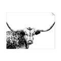 Picture of Jackson, The Bull  _GroupedProduct_Rectangle_Landscape_Photography _GroupedProduct_Rectangle_Landscape_Unframed_Print_Only_