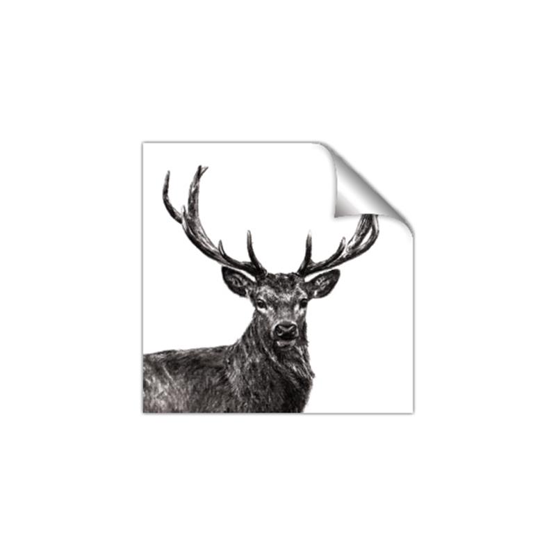 Picture of James, the Stag  _GroupedProduct_Square_Photography _GroupedProduct_Square_Unframed_Print_Only_