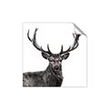 Picture of James, the Stag  _GroupedProduct_Square_Photography _GroupedProduct_Square_Unframed_Print_Only_