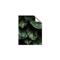 Picture of Jungle Leaves  _GroupedProduct_Rectangle_Portrait_Photography _GroupedProduct_Rectangle_Portrait_Unframed_Print_Only_