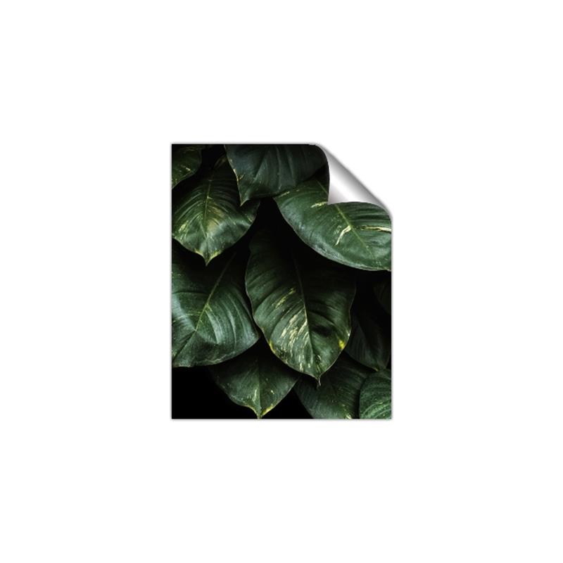 Picture of Jungle Leaves  _GroupedProduct_Rectangle_Portrait_Photography _GroupedProduct_Rectangle_Portrait_Unframed_Print_Only_