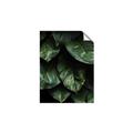 Picture of Jungle Leaves  _GroupedProduct_Rectangle_Portrait_Photography _GroupedProduct_Rectangle_Portrait_Unframed_Print_Only_