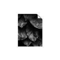 Picture of Jungle Leaves  _GroupedProduct_Rectangle_Portrait_Photography _GroupedProduct_Rectangle_Portrait_Unframed_Print_Only_