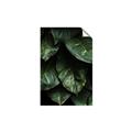 Picture of Jungle Leaves  _GroupedProduct_Rectangle_Portrait_Photography _GroupedProduct_Rectangle_Portrait_Unframed_Print_Only_