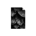 Picture of Jungle Leaves  _GroupedProduct_Rectangle_Portrait_Photography _GroupedProduct_Rectangle_Portrait_Unframed_Print_Only_