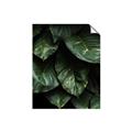 Picture of Jungle Leaves  _GroupedProduct_Rectangle_Portrait_Photography _GroupedProduct_Rectangle_Portrait_Unframed_Print_Only_