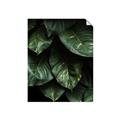 Picture of Jungle Leaves  _GroupedProduct_Rectangle_Portrait_Photography _GroupedProduct_Rectangle_Portrait_Unframed_Print_Only_