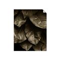 Picture of Jungle Leaves  _GroupedProduct_Rectangle_Portrait_Photography _GroupedProduct_Rectangle_Portrait_Unframed_Print_Only_