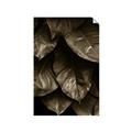Picture of Jungle Leaves  _GroupedProduct_Rectangle_Portrait_Photography _GroupedProduct_Rectangle_Portrait_Unframed_Print_Only_