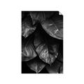 Picture of Jungle Leaves  _GroupedProduct_Rectangle_Portrait_Photography _GroupedProduct_Rectangle_Portrait_Unframed_Print_Only_