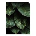 Picture of Jungle Leaves  _GroupedProduct_Rectangle_Portrait_Photography _GroupedProduct_Rectangle_Portrait_Unframed_Print_Only_