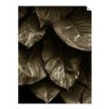 Picture of Jungle Leaves  _GroupedProduct_Rectangle_Portrait_Photography _GroupedProduct_Rectangle_Portrait_Unframed_Print_Only_