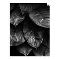 Picture of Jungle Leaves  _GroupedProduct_Rectangle_Portrait_Photography _GroupedProduct_Rectangle_Portrait_Unframed_Print_Only_