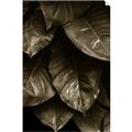 Picture of Jungle Leaves  _GroupedProduct_Rectangle_Portrait_Photography _GroupedProduct_Rectangle_Portrait_Unframed_Print_Only_