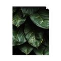 Picture of Jungle Leaves  _GroupedProduct_Rectangle_Portrait_Photography _GroupedProduct_Rectangle_Portrait_Unframed_Print_Only_