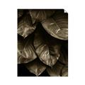 Picture of Jungle Leaves  _GroupedProduct_Rectangle_Portrait_Photography _GroupedProduct_Rectangle_Portrait_Unframed_Print_Only_