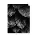 Picture of Jungle Leaves  _GroupedProduct_Rectangle_Portrait_Photography _GroupedProduct_Rectangle_Portrait_Unframed_Print_Only_