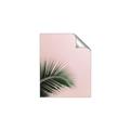 Picture of Leaves on Pink _GroupedProduct_Rectangle_Portrait_Photography _GroupedProduct_Rectangle_Portrait_Unframed_Print_Only_