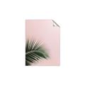 Picture of Leaves on Pink _GroupedProduct_Rectangle_Portrait_Photography _GroupedProduct_Rectangle_Portrait_Unframed_Print_Only_