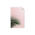 Picture of Leaves on Pink _GroupedProduct_Rectangle_Portrait_Photography _GroupedProduct_Rectangle_Portrait_Unframed_Print_Only_