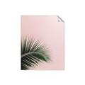 Picture of Leaves on Pink _GroupedProduct_Rectangle_Portrait_Photography _GroupedProduct_Rectangle_Portrait_Unframed_Print_Only_
