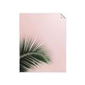 Picture of Leaves on Pink _GroupedProduct_Rectangle_Portrait_Photography _GroupedProduct_Rectangle_Portrait_Unframed_Print_Only_