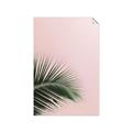Picture of Leaves on Pink _GroupedProduct_Rectangle_Portrait_Photography _GroupedProduct_Rectangle_Portrait_Unframed_Print_Only_