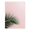 Picture of Leaves on Pink _GroupedProduct_Rectangle_Portrait_Photography _GroupedProduct_Rectangle_Portrait_Unframed_Print_Only_
