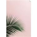 Picture of Leaves on Pink _GroupedProduct_Rectangle_Portrait_Photography _GroupedProduct_Rectangle_Portrait_Unframed_Print_Only_