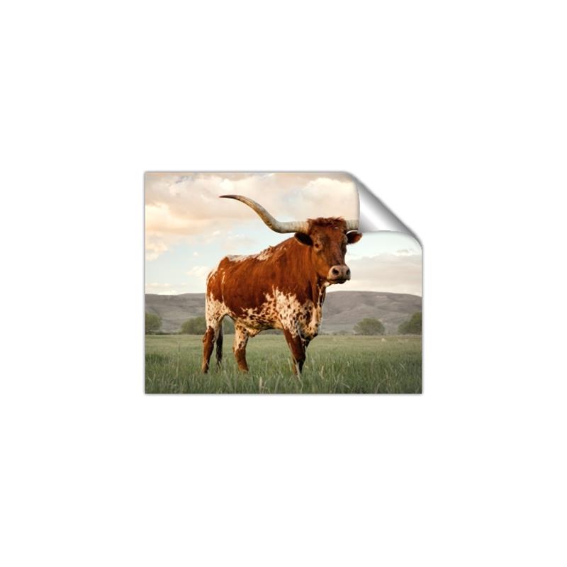Picture of Life of a Bull _GroupedProduct_Rectangle_Landscape_Photography _GroupedProduct_Rectangle_Landscape_Unframed_Print_Only_