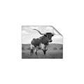 Picture of Life of a Bull _GroupedProduct_Rectangle_Landscape_Photography _GroupedProduct_Rectangle_Landscape_Unframed_Print_Only_