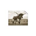 Picture of Life of a Bull _GroupedProduct_Rectangle_Landscape_Photography _GroupedProduct_Rectangle_Landscape_Unframed_Print_Only_