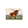 Picture of Life of a Bull _GroupedProduct_Rectangle_Landscape_Photography _GroupedProduct_Rectangle_Landscape_Unframed_Print_Only_