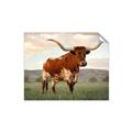 Picture of Life of a Bull _GroupedProduct_Rectangle_Landscape_Photography _GroupedProduct_Rectangle_Landscape_Unframed_Print_Only_