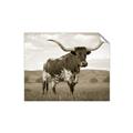 Picture of Life of a Bull _GroupedProduct_Rectangle_Landscape_Photography _GroupedProduct_Rectangle_Landscape_Unframed_Print_Only_