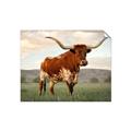 Picture of Life of a Bull _GroupedProduct_Rectangle_Landscape_Photography _GroupedProduct_Rectangle_Landscape_Unframed_Print_Only_