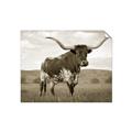 Picture of Life of a Bull _GroupedProduct_Rectangle_Landscape_Photography _GroupedProduct_Rectangle_Landscape_Unframed_Print_Only_