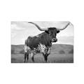 Picture of Life of a Bull _GroupedProduct_Rectangle_Landscape_Photography _GroupedProduct_Rectangle_Landscape_Unframed_Print_Only_
