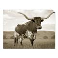 Picture of Life of a Bull _GroupedProduct_Rectangle_Landscape_Photography _GroupedProduct_Rectangle_Landscape_Unframed_Print_Only_