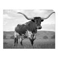 Picture of Life of a Bull _GroupedProduct_Rectangle_Landscape_Photography _GroupedProduct_Rectangle_Landscape_Unframed_Print_Only_